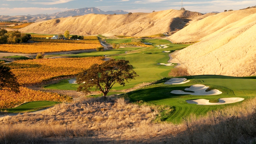 The Course At Wente Vineyards